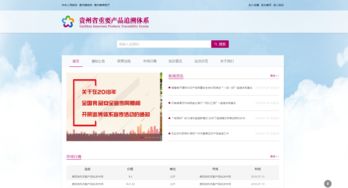 貴州電商云技術(shù)實力獲權(quán)威認定，成就信息系統(tǒng)集成服務新標桿