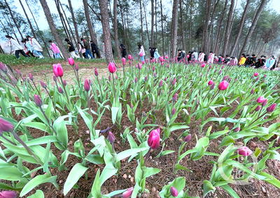 美麗新鄉(xiāng)村 | 走進(jìn)林下“花花世界”，體驗(yàn)鄉(xiāng)村版“安徒生童話”的紙制品魅力